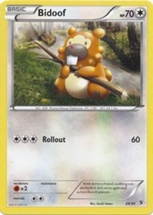 Bidoof 029 Kalos Starter Set - Common
