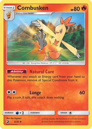 Combusken 005/70  Dragon Majesty - Uncommon